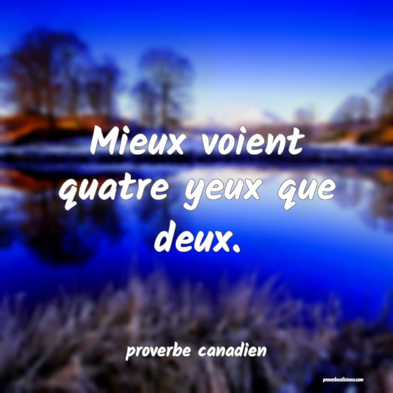  Mieux voient quatre yeux que deux.