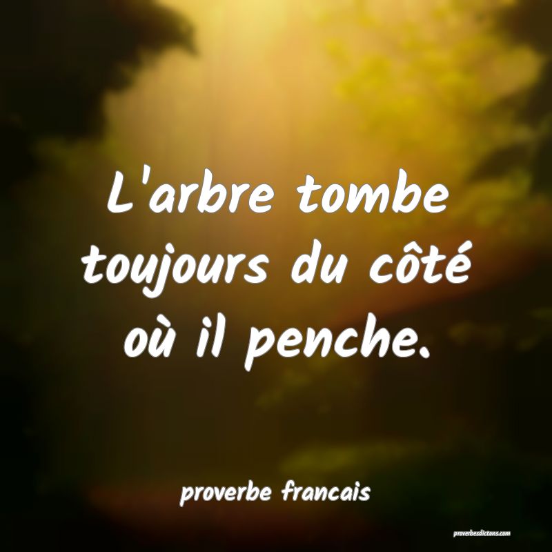  L'arbre tombe toujours du côté où il penche.