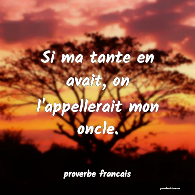  Si ma tante en avait, on l'appellerait mon oncle.