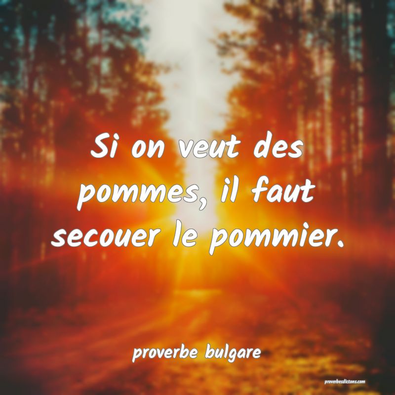  Si on veut des pommes, il faut secouer le pommier.