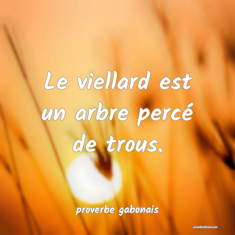  Le viellard est un arbre percé de trous.