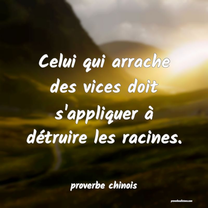  Celui qui arrache des vices doit s'appliquer à détruire les racines.