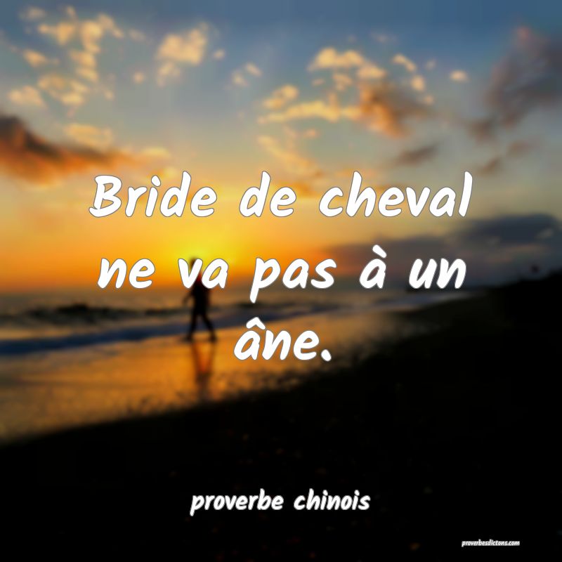  Bride de cheval ne va pas à un âne.