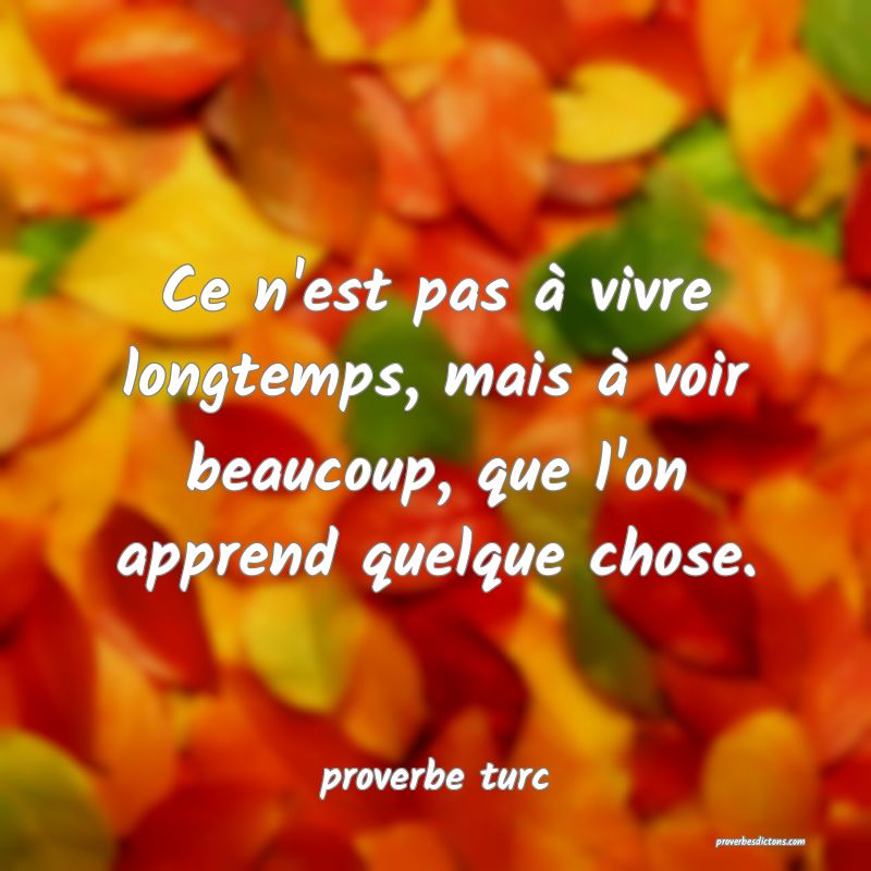  Ce n'est pas à vivre longtemps, mais à voir beaucoup, que l'on apprend quelque chose.
