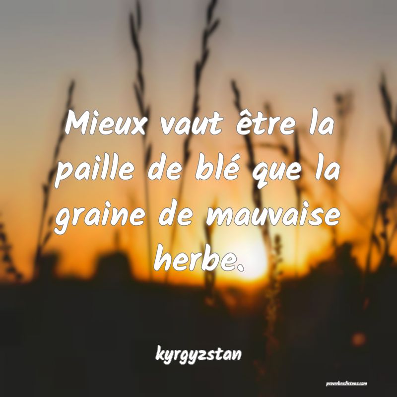  Mieux vaut être la paille de blé que la graine de mauvaise herbe.
