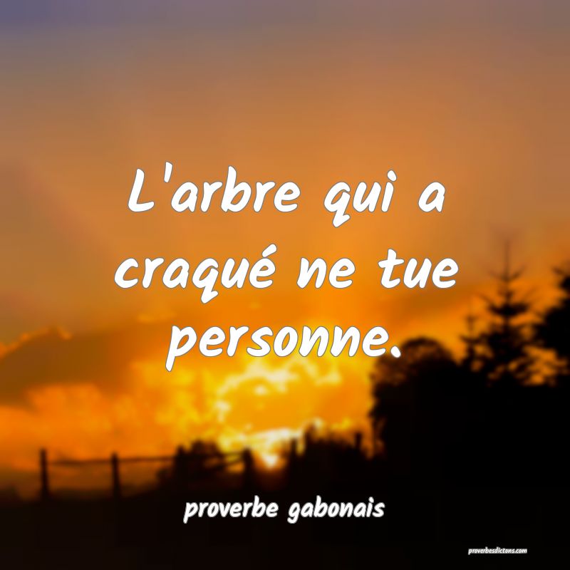  L'arbre qui a craqué ne tue personne.