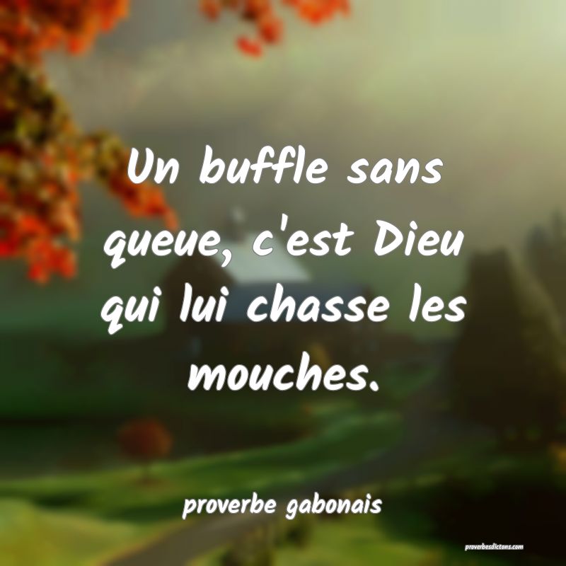  Un buffle sans queue, c'est Dieu qui lui chasse les mouches.