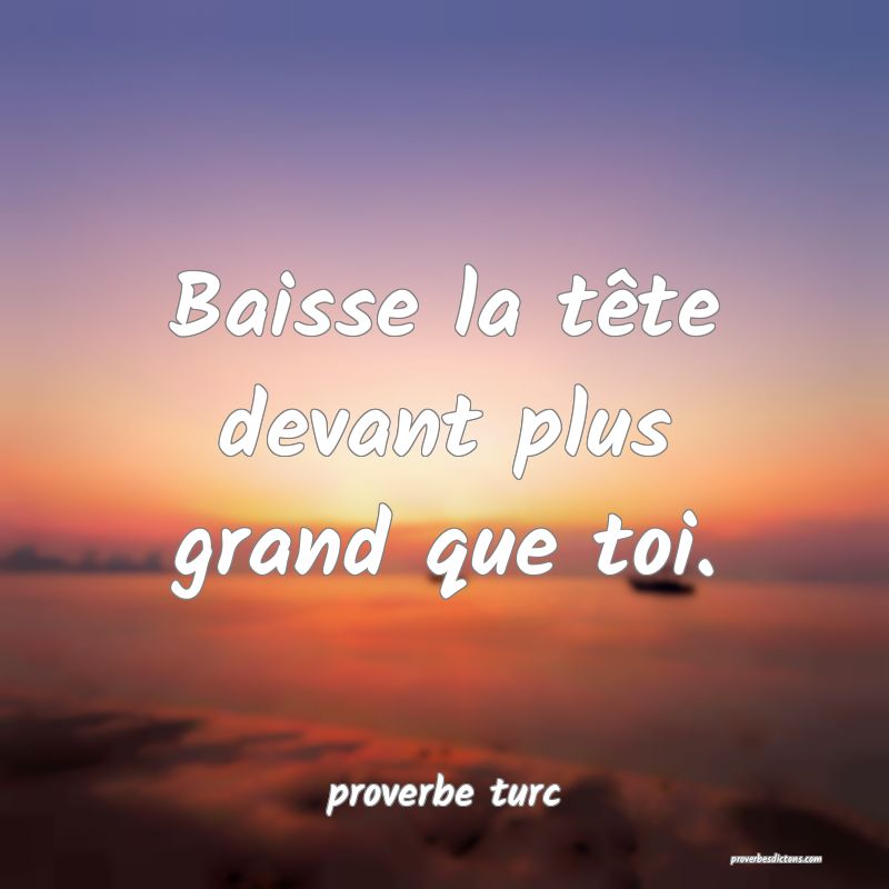 Baisse la tête devant plus grand que toi.