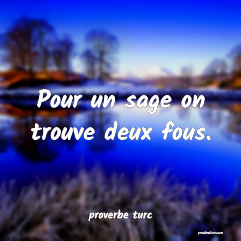  Pour un sage on trouve deux fous.