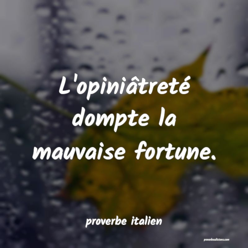  L'opiniâtreté dompte la mauvaise fortune.