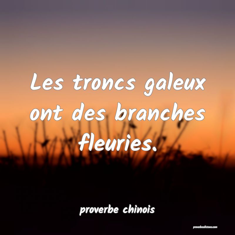 Les troncs galeux ont des branches fleuries.
