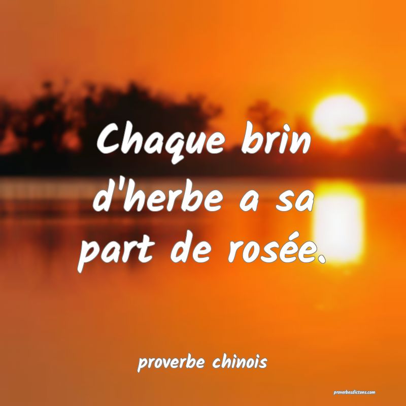  Chaque brin d'herbe a sa part de rosée.