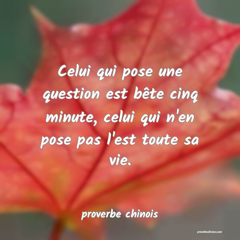  Celui qui pose une question est bête cinq minute, celui qui n'en pose pas l'est toute sa vie.