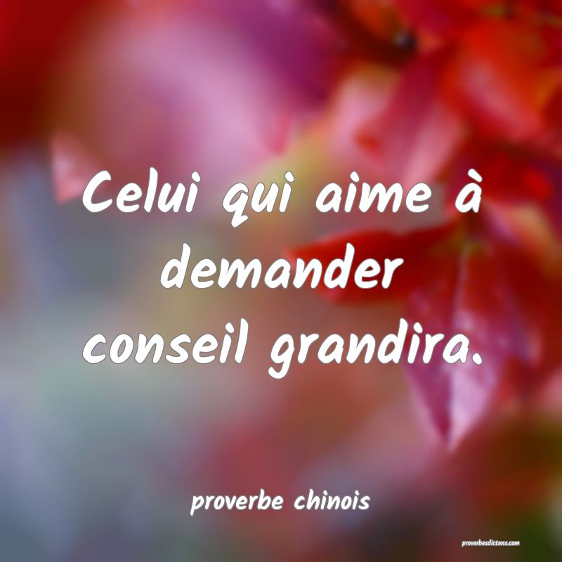  Celui qui aime à demander conseil grandira.