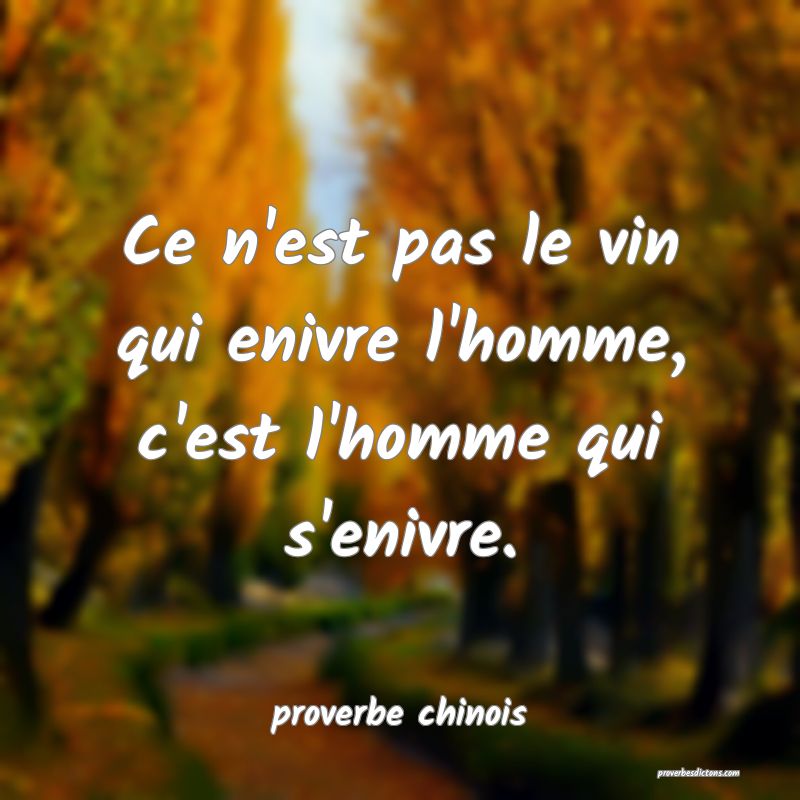  Ce n'est pas le vin qui enivre l'homme, c'est l'homme qui s'enivre.