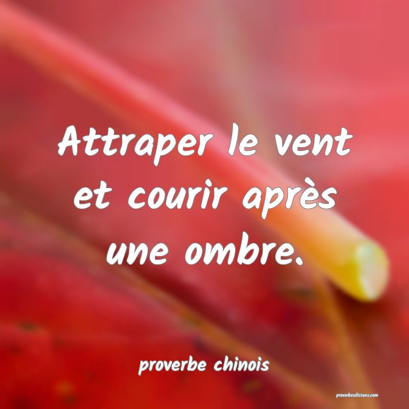  Attraper le vent et courir après une ombre.