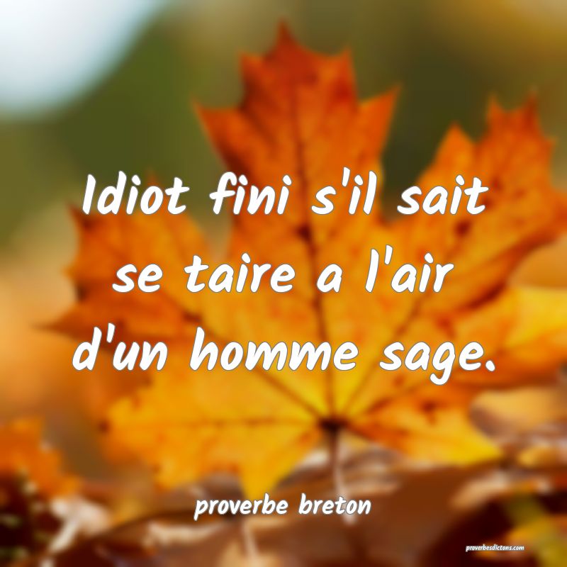  Idiot fini s'il sait se taire a l'air d'un homme sage.
