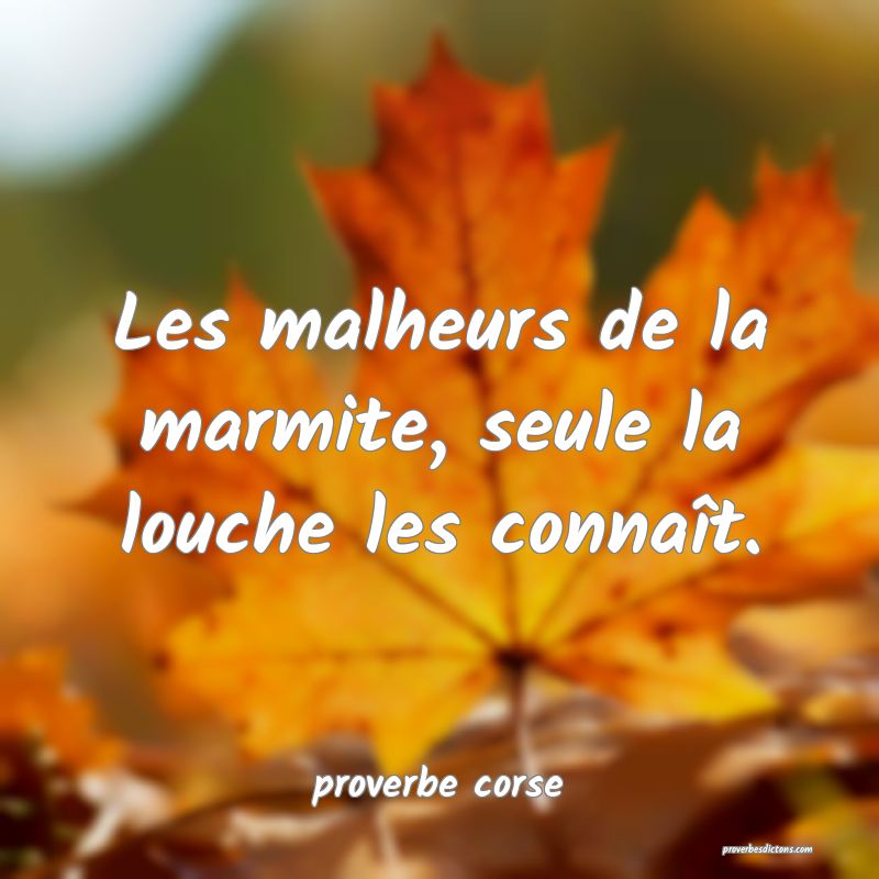  Les malheurs de la marmite, seule la louche les connaît.