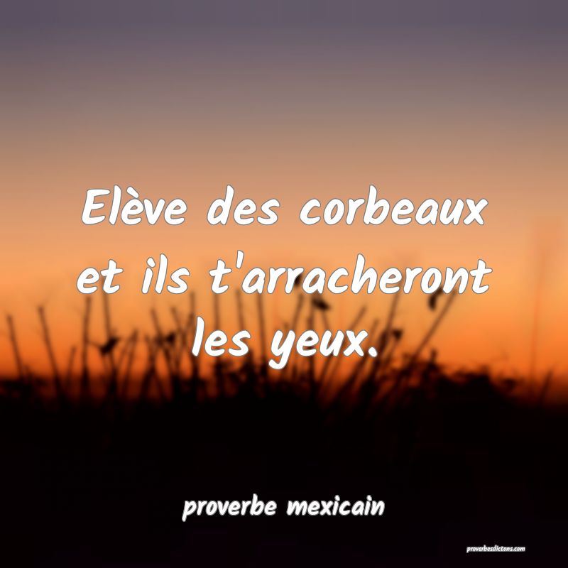  Elève des corbeaux et ils t'arracheront les yeux.