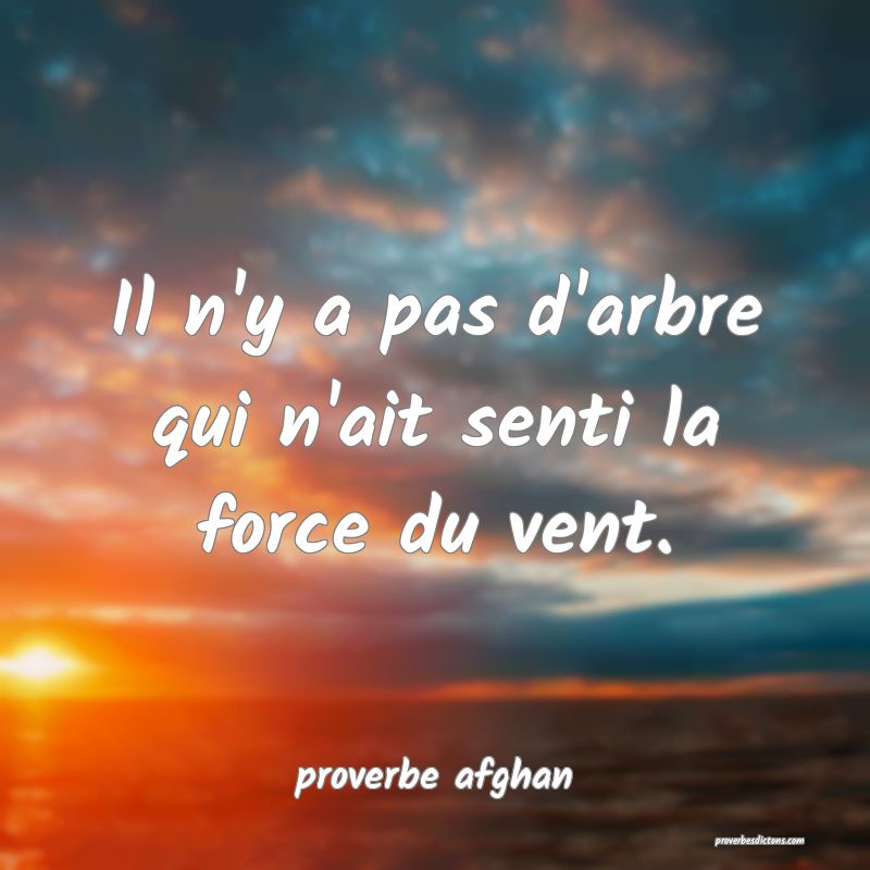  Il n'y a pas d'arbre qui n'ait senti la force du vent.