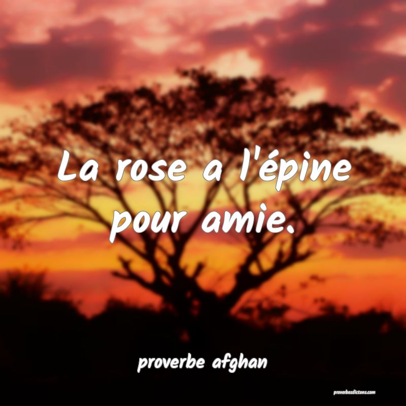  La rose a l'épine pour amie.