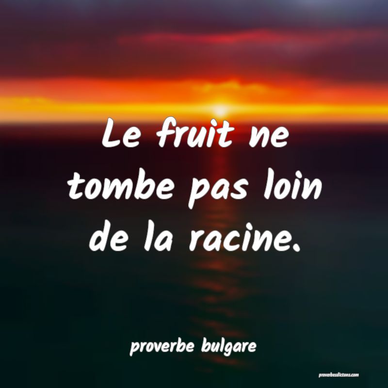  Le fruit ne tombe pas loin de la racine.
