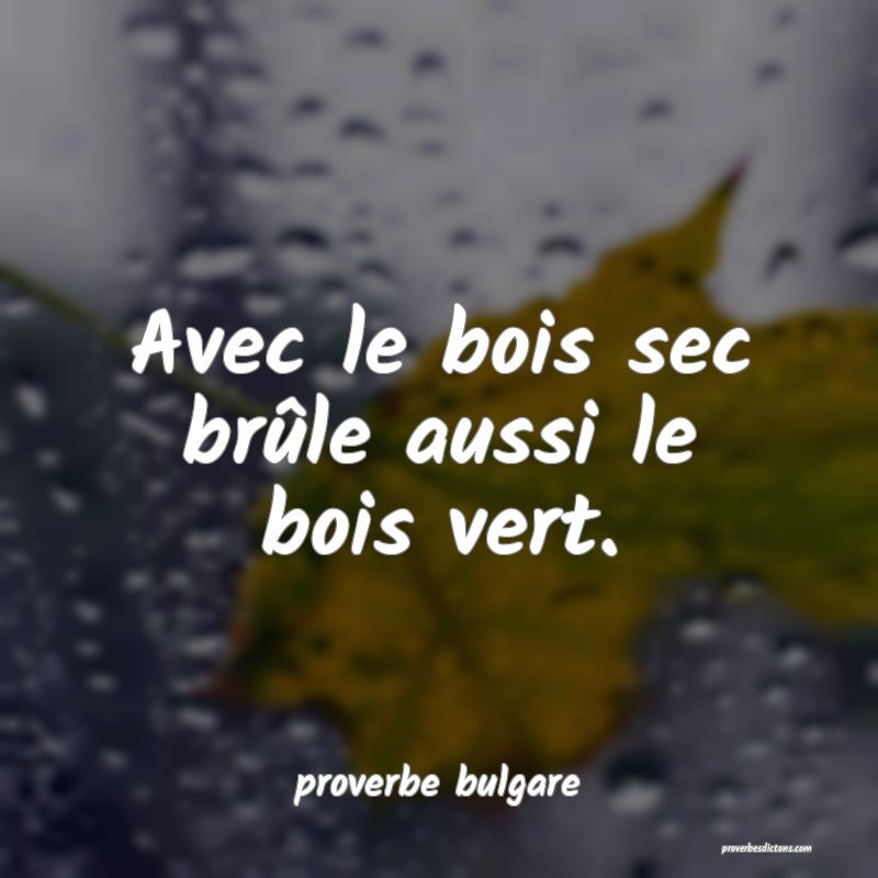  Avec le bois sec brûle aussi le bois vert.