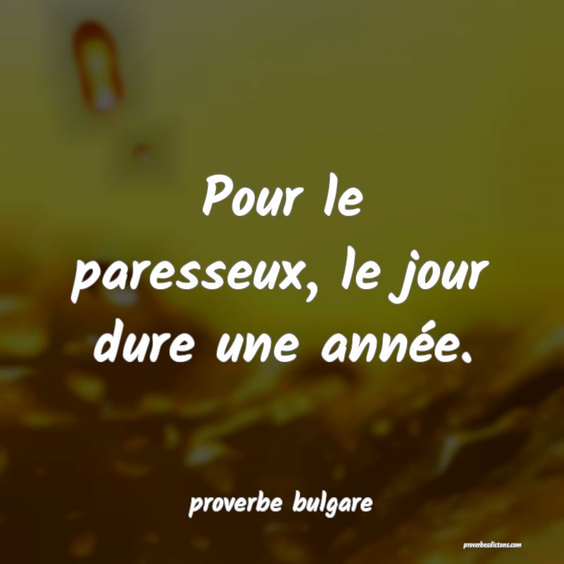  Pour le paresseux, le jour dure une année.