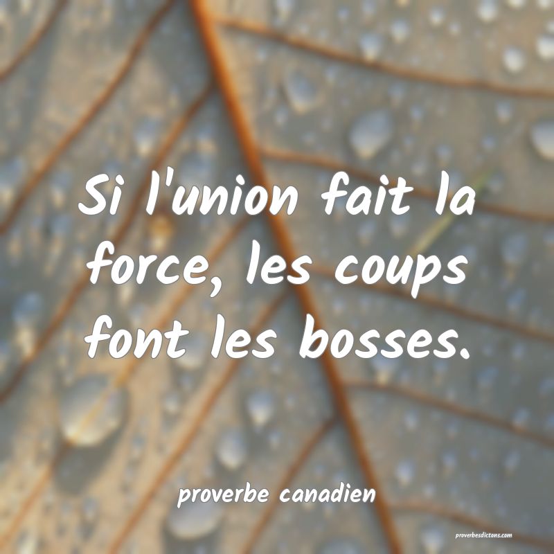  Si l'union fait la force, les coups font les bosses.