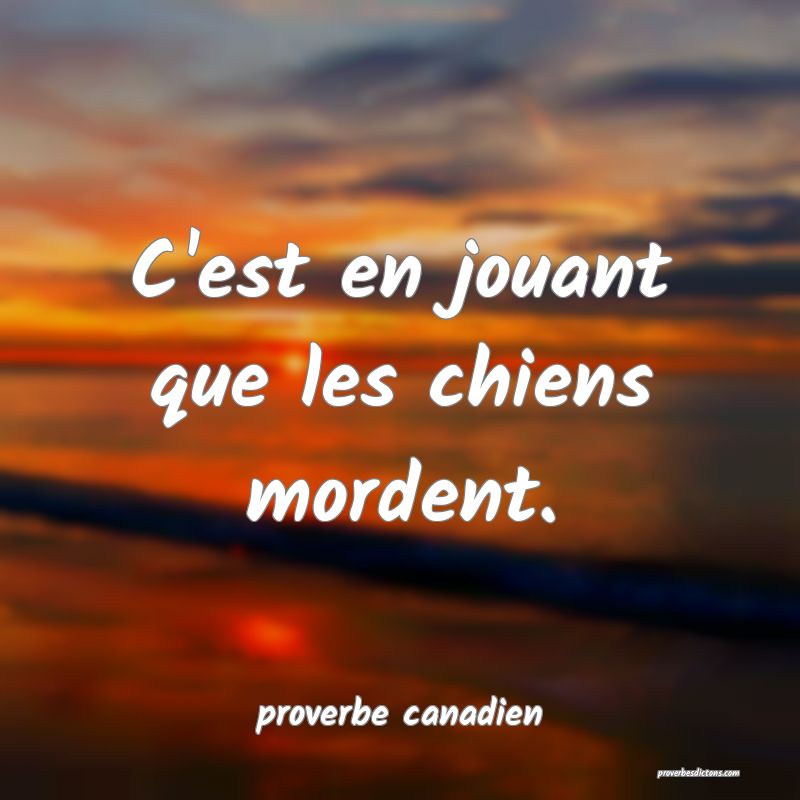  C'est en jouant que les chiens mordent.
