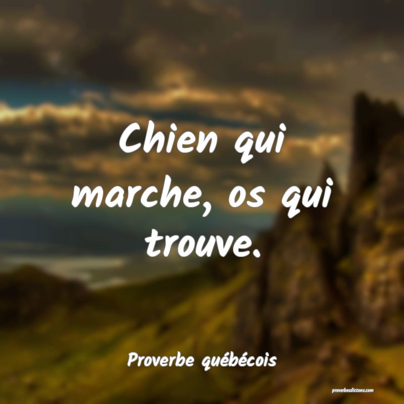  Chien qui marche, os qui trouve.
