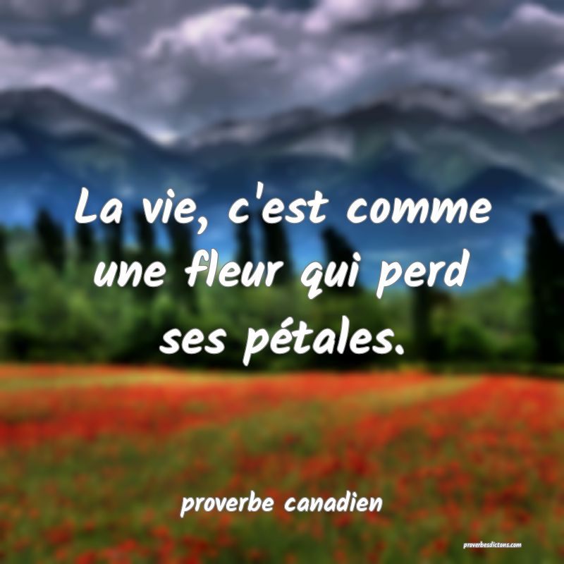  La vie, c'est comme une fleur qui perd ses pétales.