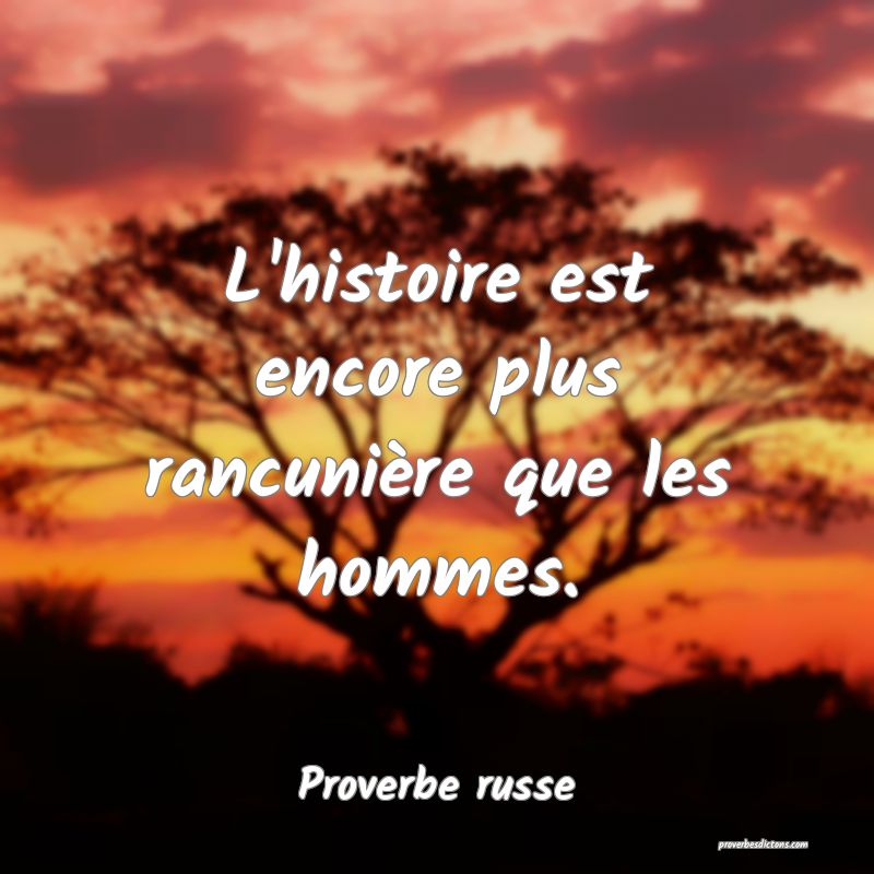  L'histoire est encore plus rancunière que les hommes.
