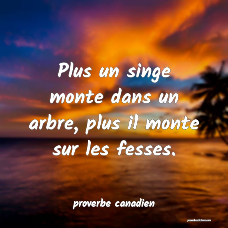  Plus un singe monte dans un arbre, plus il monte sur les fesses.