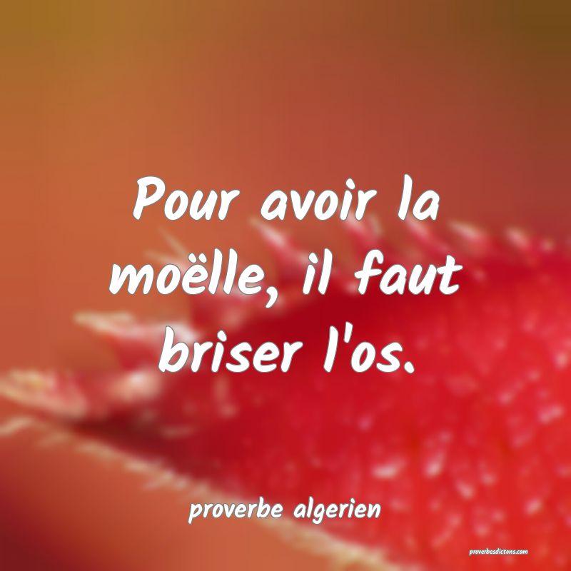  Pour avoir la moëlle, il faut briser l'os.