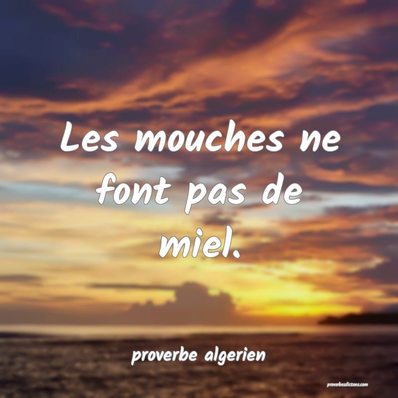  Les mouches ne font pas de miel.