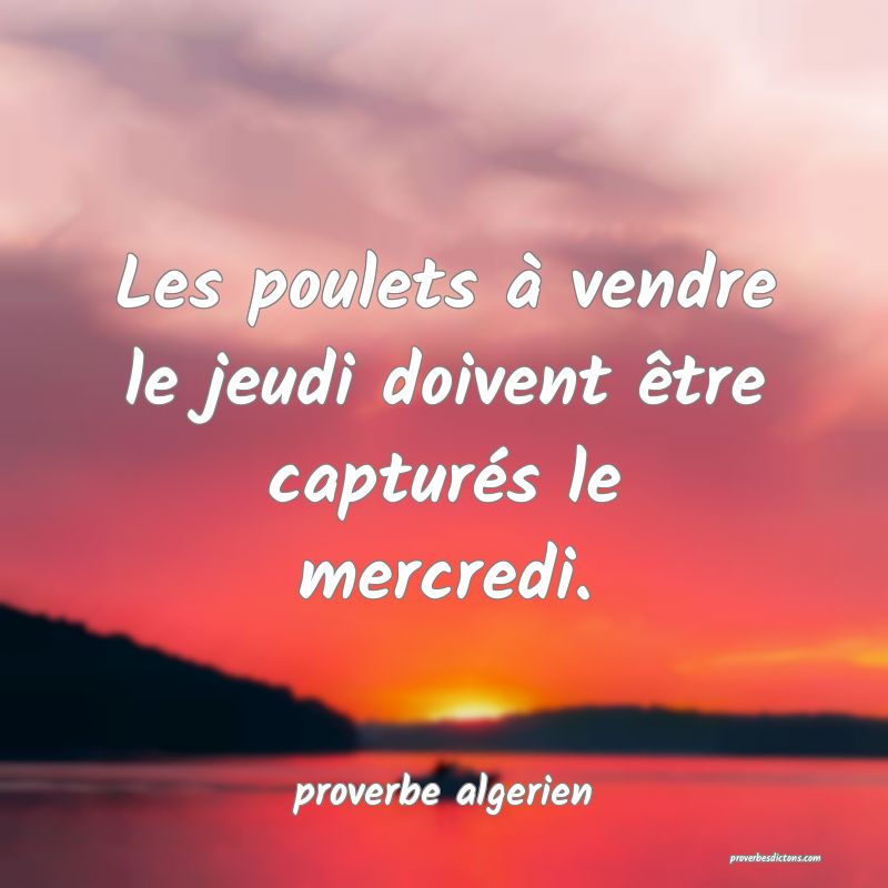 Les poulets à vendre le jeudi doivent être capturés le mercredi.