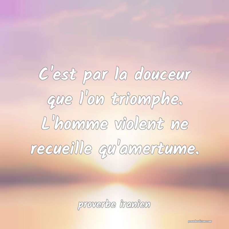  C'est par la douceur que l'on triomphe. L'homme violent ne recueille qu'amertume.