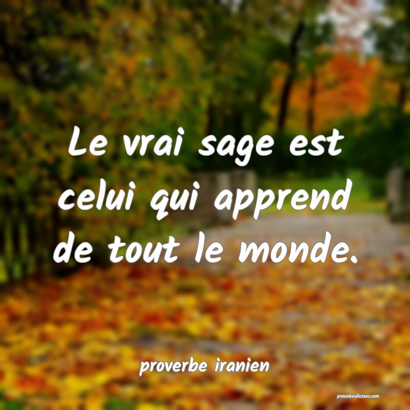 Le vrai sage est celui qui apprend de tout le monde.