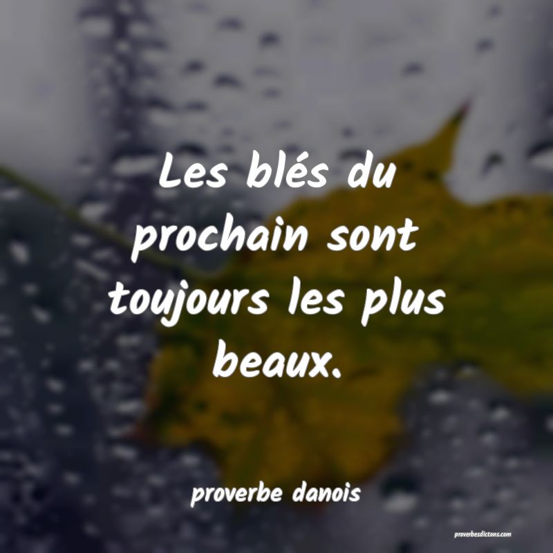  Les blés du prochain sont toujours les plus beaux.