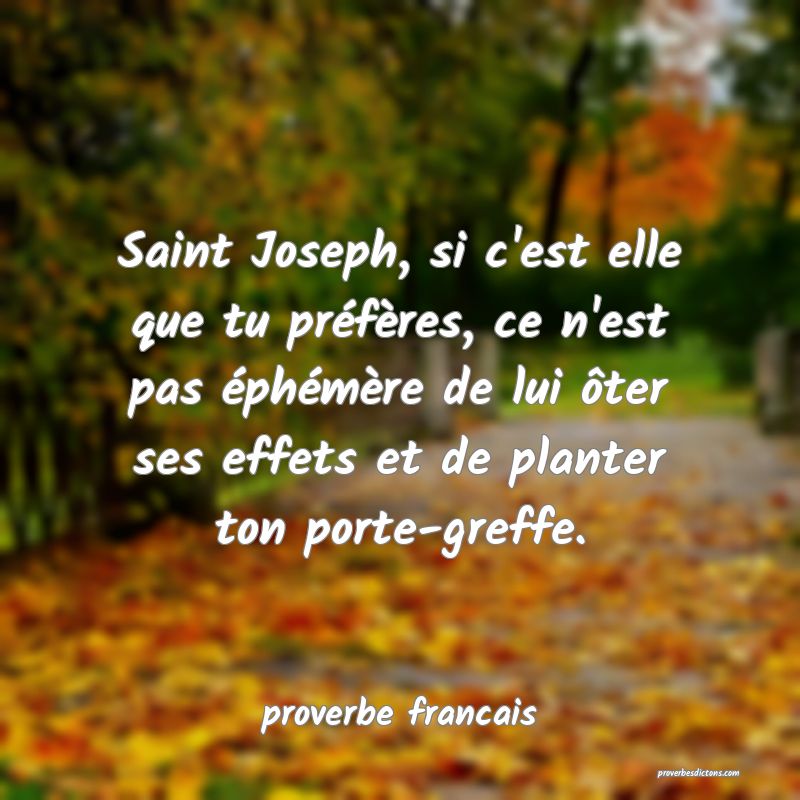 Saint Joseph, si c'est elle que tu préfères, ce n'est pas éphémère de lui ôter ses effets et de planter ton porte-greffe.