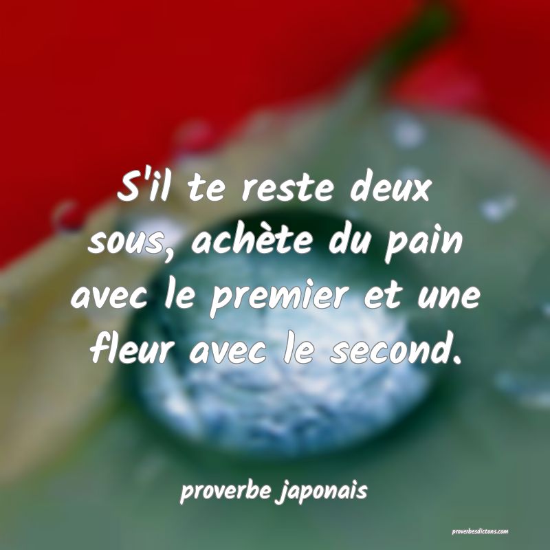S'il te reste deux sous, achète du pain avec le premier et une fleur avec le second.