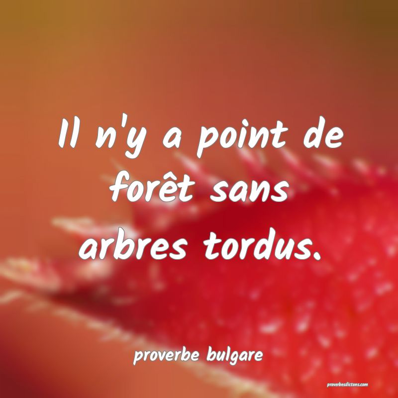 Il n'y a point de forêt sans arbres tordus.