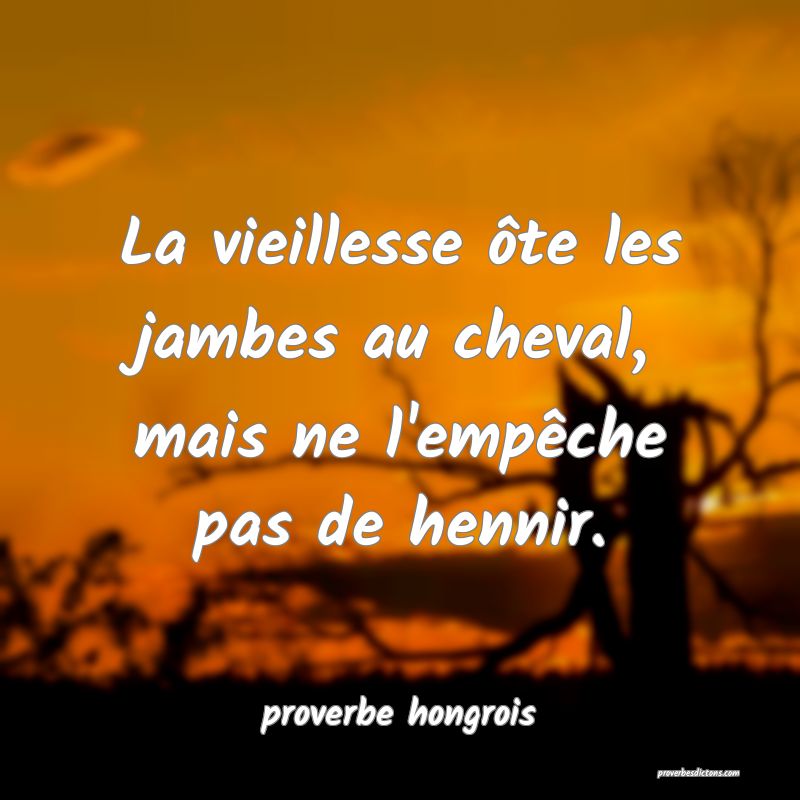 La vieillesse ôte les jambes au cheval, mais ne l'empêche pas de hennir.
