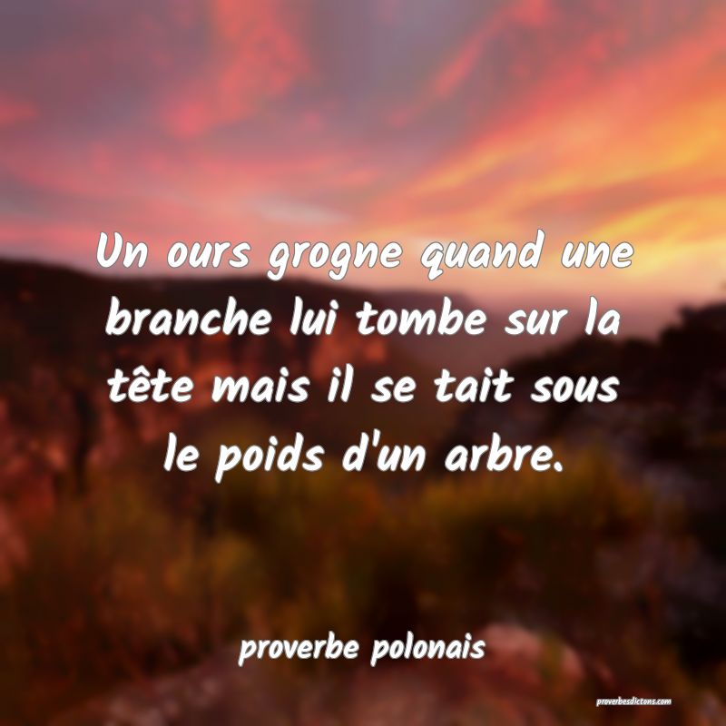 Un ours grogne quand une branche lui tombe sur la tête mais il se tait sous le poids d'un arbre.