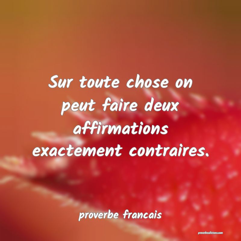  Sur toute chose on peut faire deux affirmations exactement contraires.