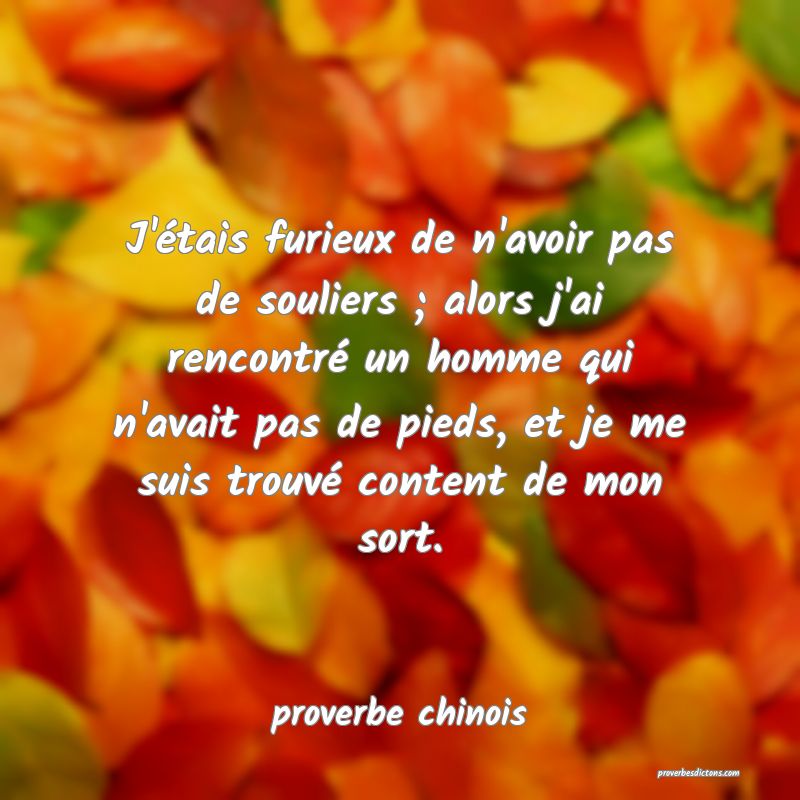  J'étais furieux de n'avoir pas de souliers ; alors j'ai rencontré un homme qui n'avait pas de pieds, et je me suis trouvé content de mon sort.