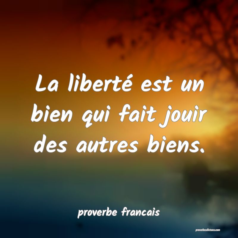  La liberté est un bien qui fait jouir des autres biens.