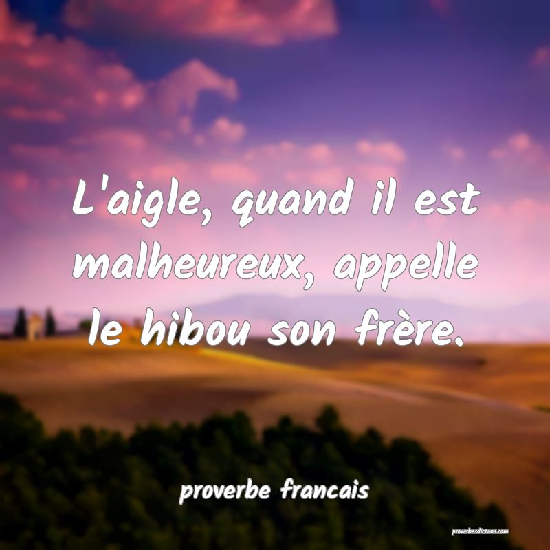  L'aigle, quand il est malheureux, appelle le hibou son frère.