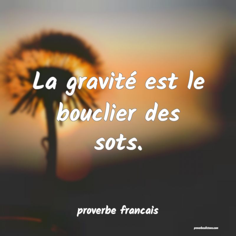  La gravité est le bouclier des sots.